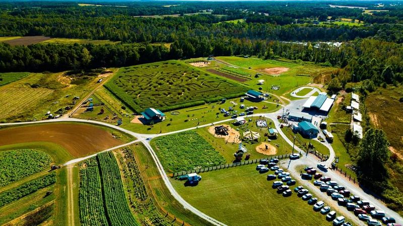 The Farm That Grows More Than Just Corn