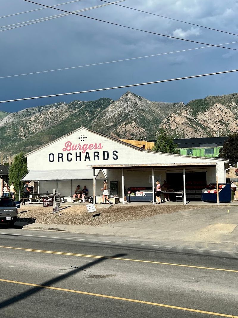 Why Weeknight Crowds Keep Showing Up At This Small Alpine Farm Stand