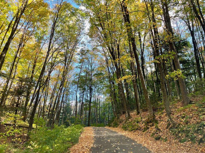 The Park Offers More Ways To Explore