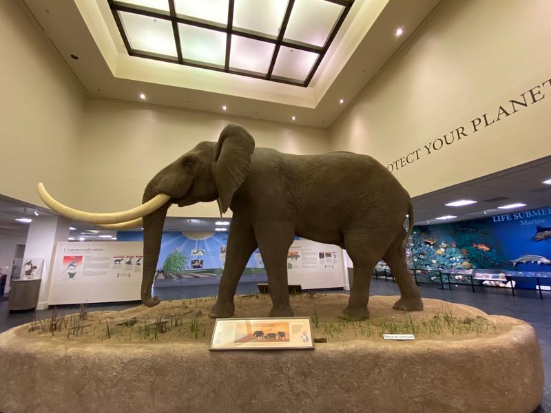 Monte L. Bean Life Science Museum, Provo
