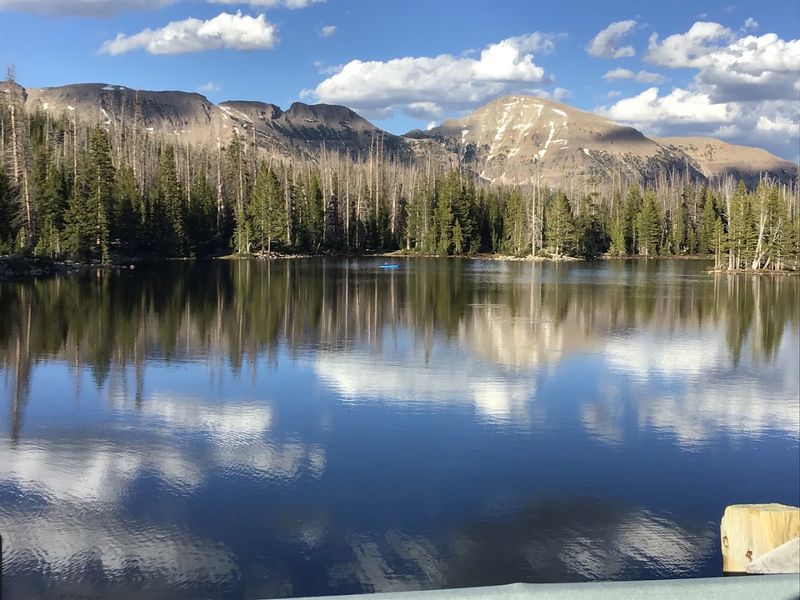 Waterfalls Along the Route: Unexpected Roadside Rewards