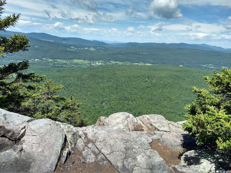 Vermont Handles The Background Like A Professional