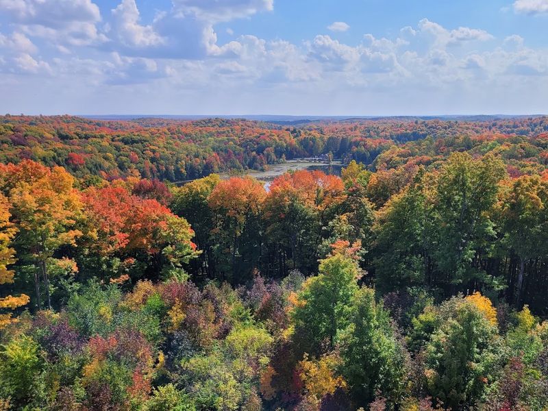 Autumn Covers The Horizon In Color
