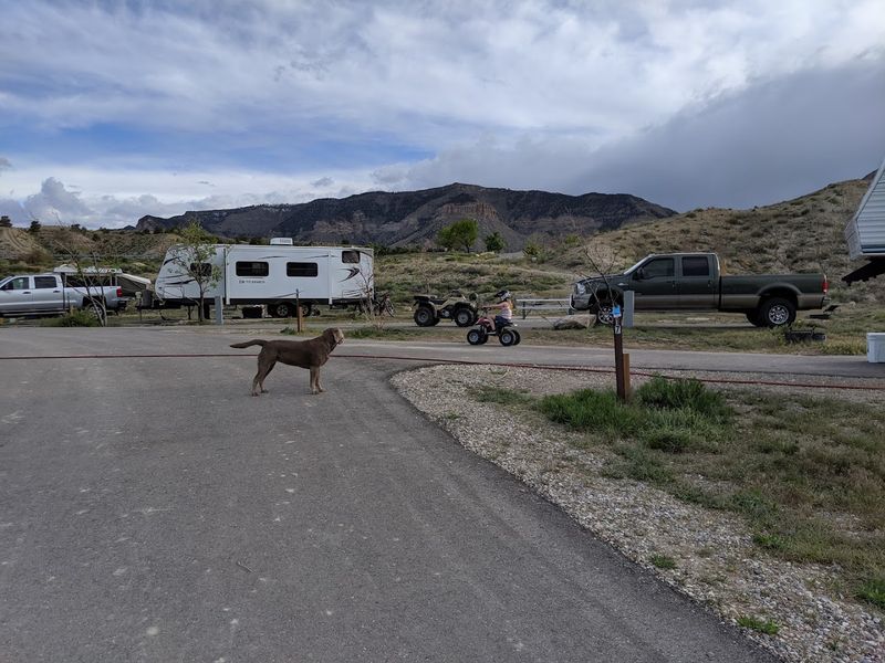 Pet-Friendly Camping With a Few Important Ground Rules