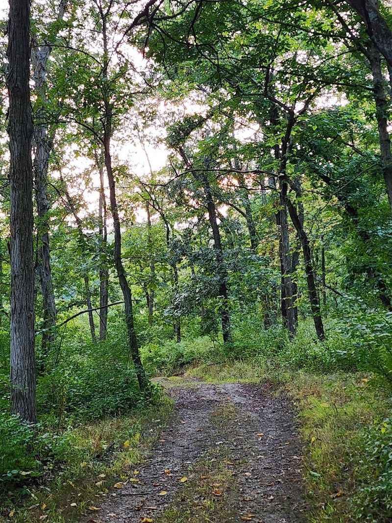 Why This Park Keeps Pulling People Back Year After Year