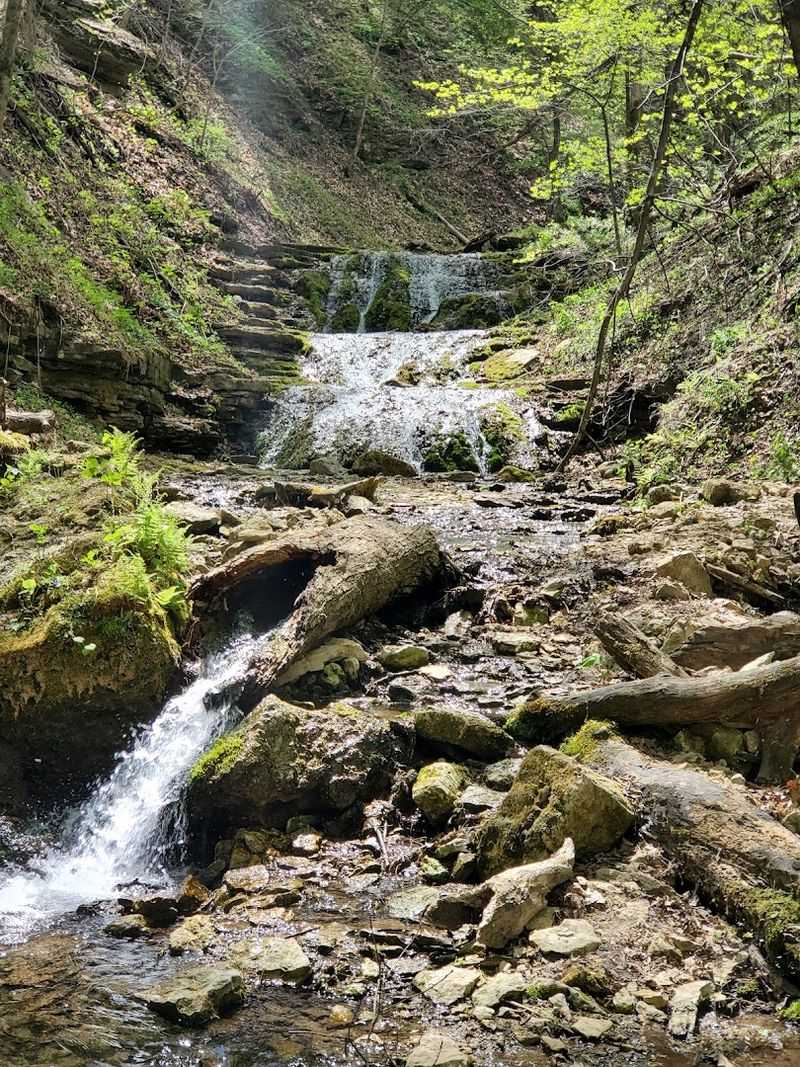 Big Springs Nature Area, Guttenberg