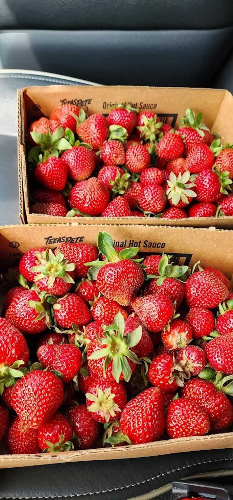The Strawberry Season That Makes The Farm Stand Feel Even Sweeter