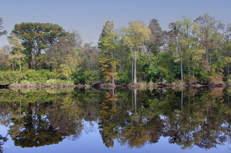 The Cape Fear River Side Of Things