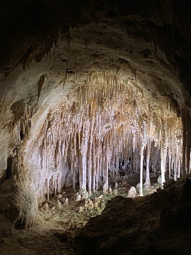 Carlsbad Caverns National Park
