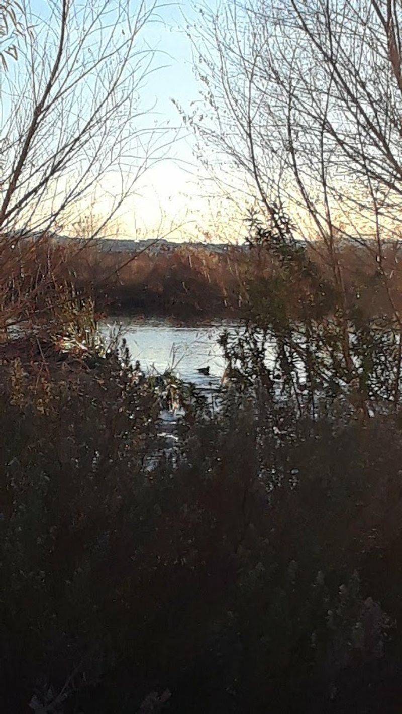 Wetland Trail