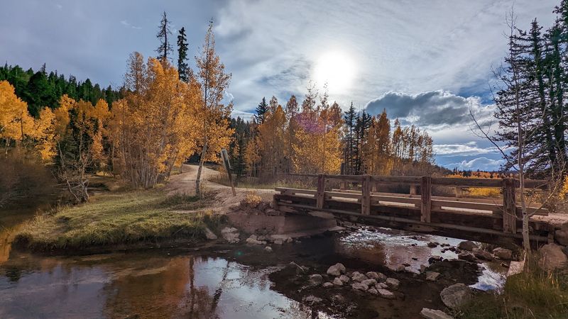 Duck Creek Village