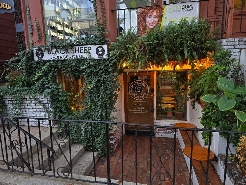 Black Sheep Bagel Cafe 