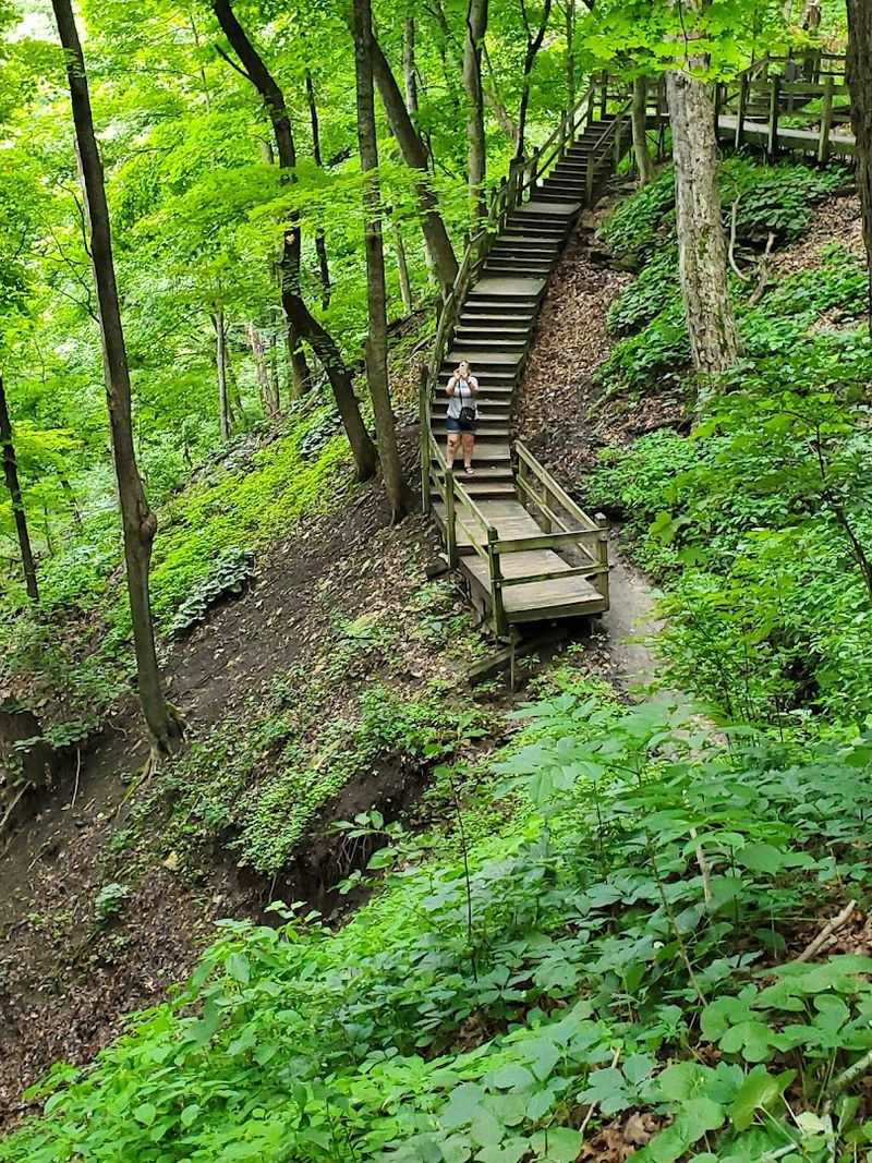 The Full Trail System Worth Exploring