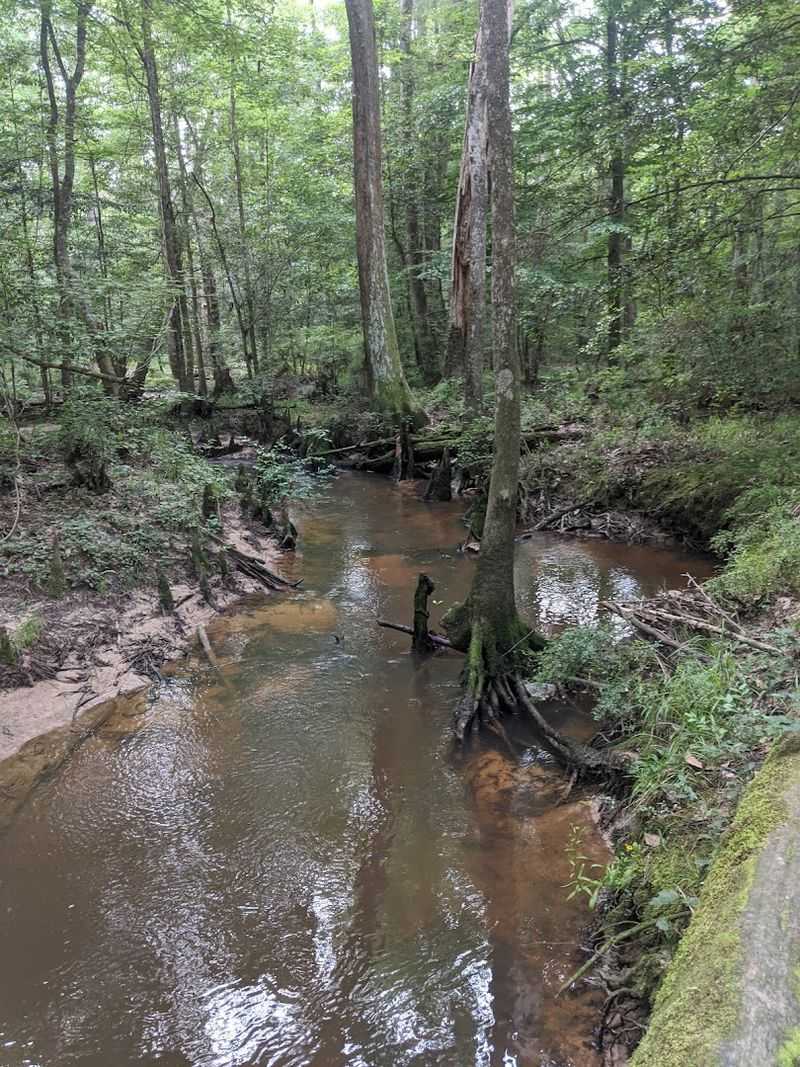 Combine With Nearby Little Cypress Picnic Spot