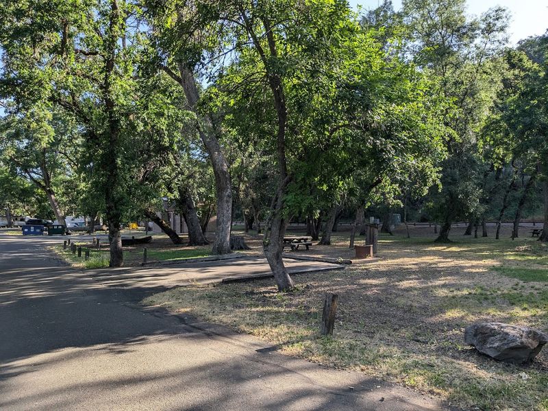 Disc Golf And Trails Fill The Hours Between Swims