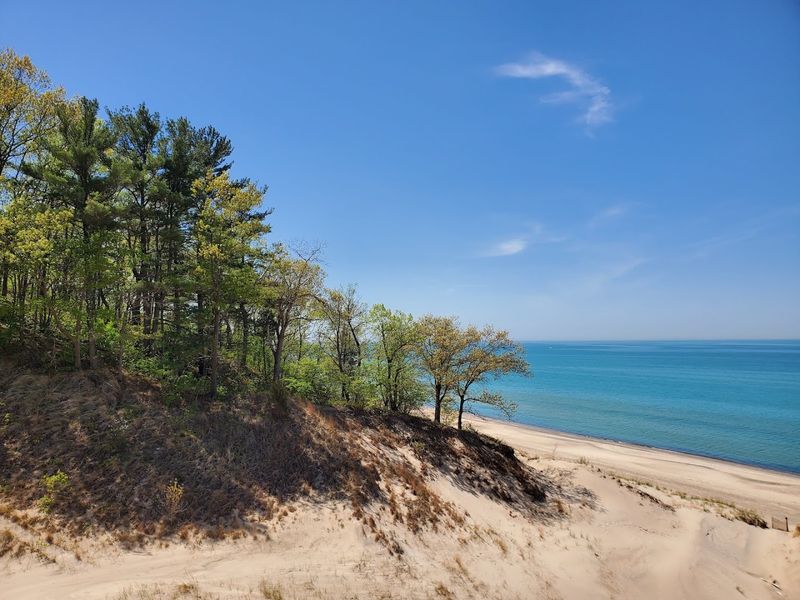 Indiana Dunes Delivers More Than A Swim