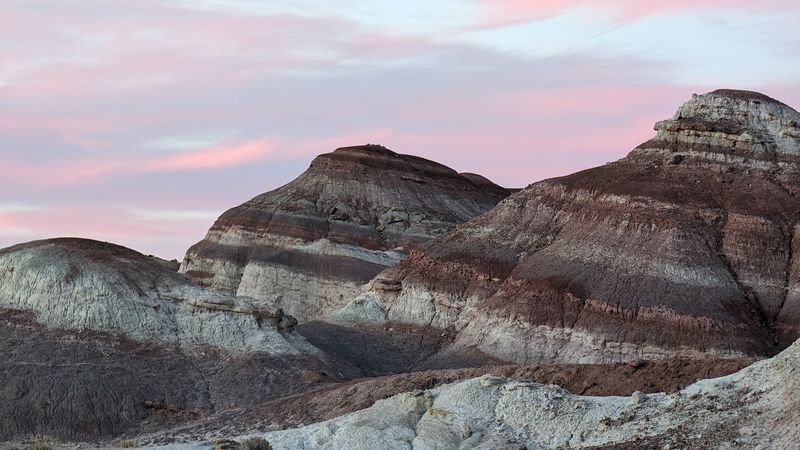 Why Pando Belongs On Every Utah Road Trip Itinerary