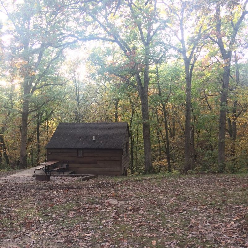 The Cabins Worth Booking Early