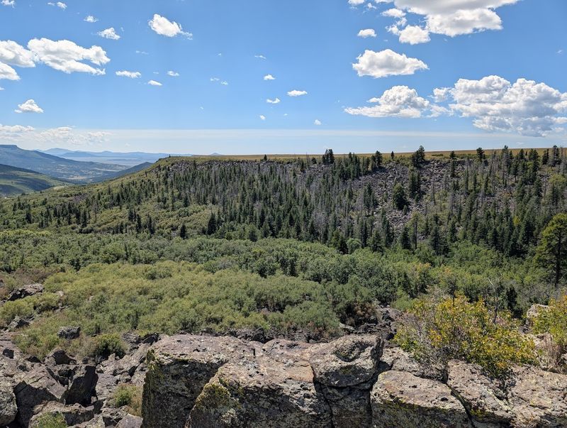 Forested Slopes With A Northern New Mexico Mood
