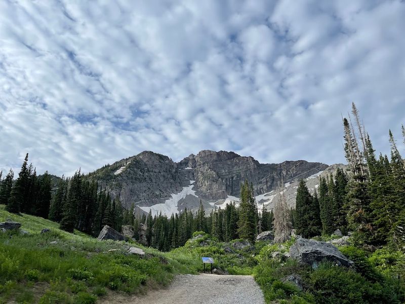 Wildlife Encounters That Make the Hike Unforgettable