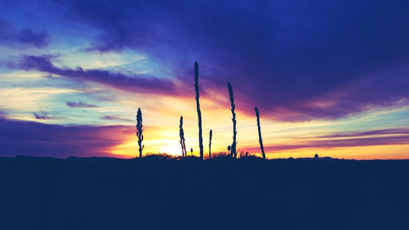 Golden Hour Across The Open Lake