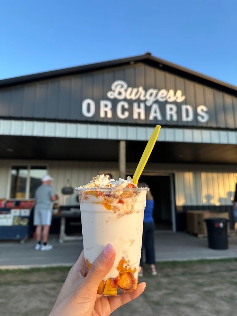 Peach Season At Burgess Orchards Is A Whole Mood Worth Planning Around