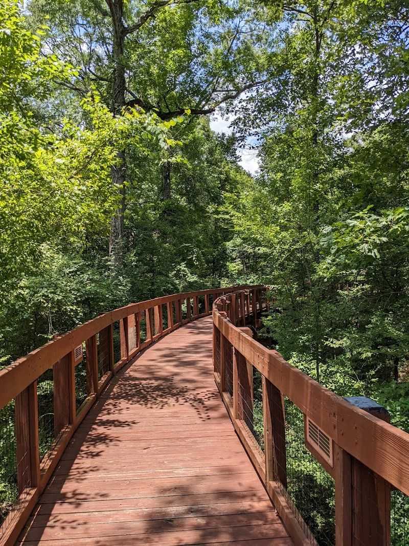 Louisiana State Arboretum Trails