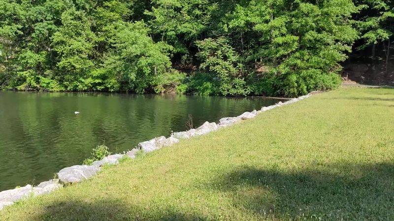 Kid-Friendly Zones That Cover Every Age Group