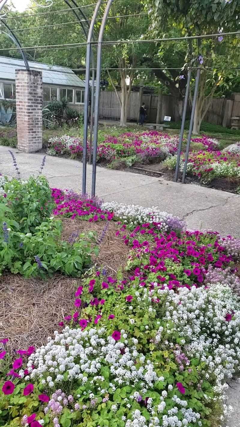 Kitchen Garden And Seasonal Vegetables