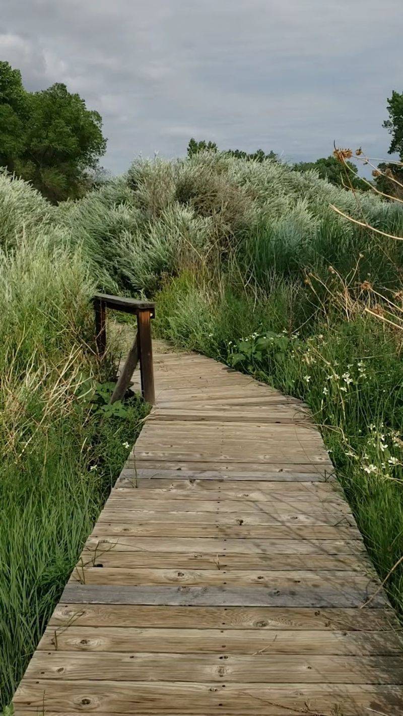 Leonora Curtin Wetland Preserve Trails, Santa Fe