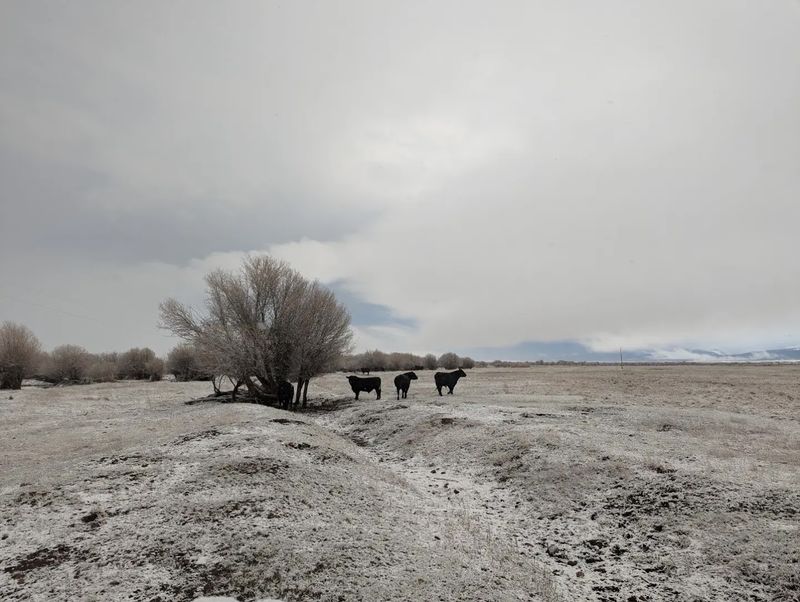Wisdom Adds A Small-Town Pause To The Valley Drive