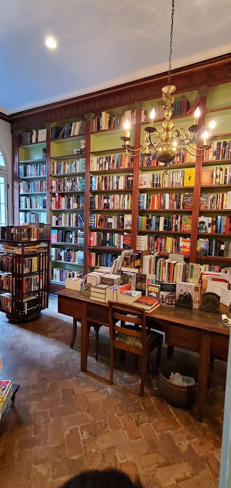 The Bookshop Cat Presence