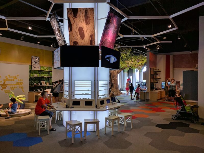 The Discovery Room Upstairs And Its Live Animal Encounters