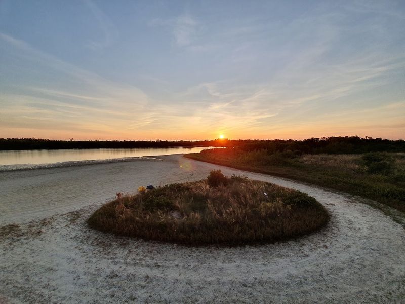 Mangroves And The Nature Trail That Surrounds The Beach