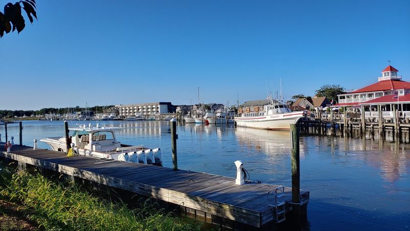 Fresh Seafood And Casual Dining Done Right