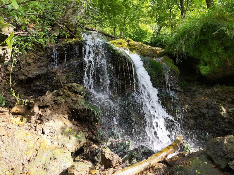 Malanaphy Springs State Preserve, Decorah