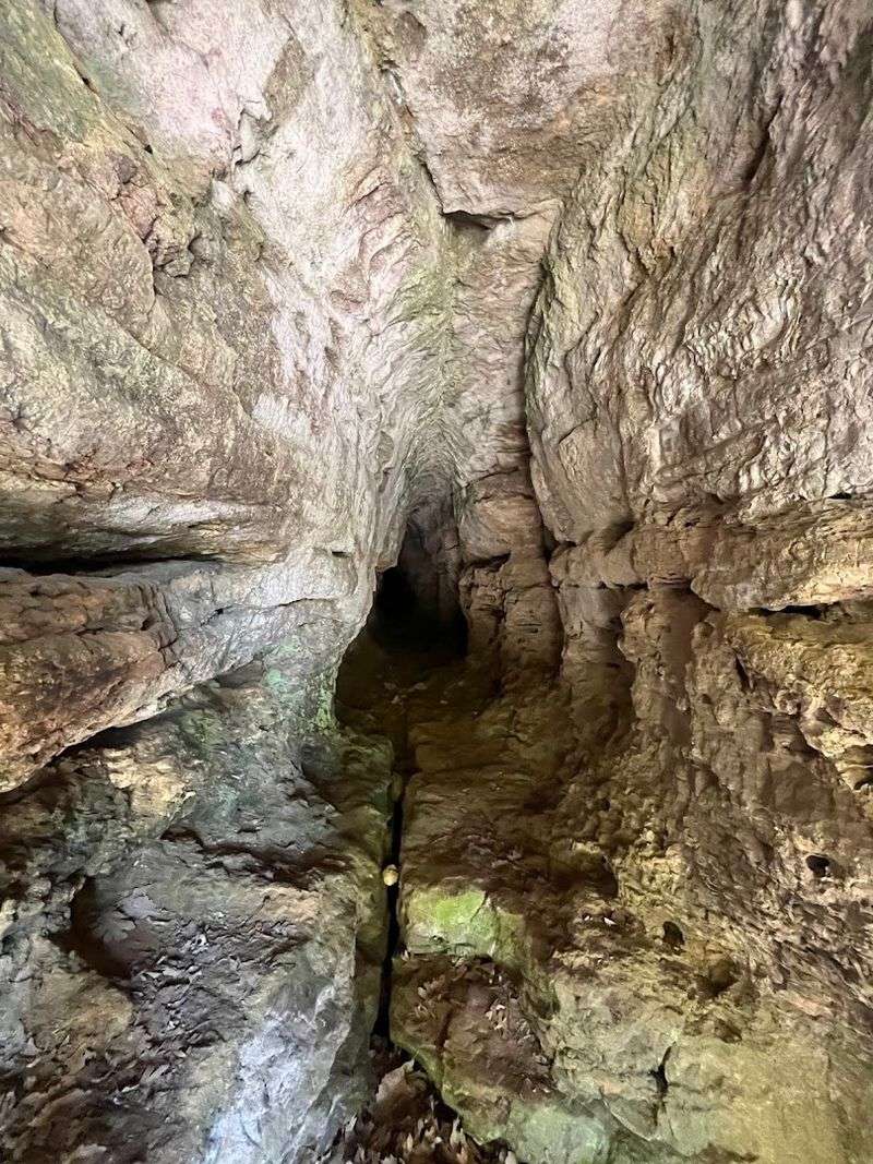 Starr's Cave Park and Preserve, Burlington