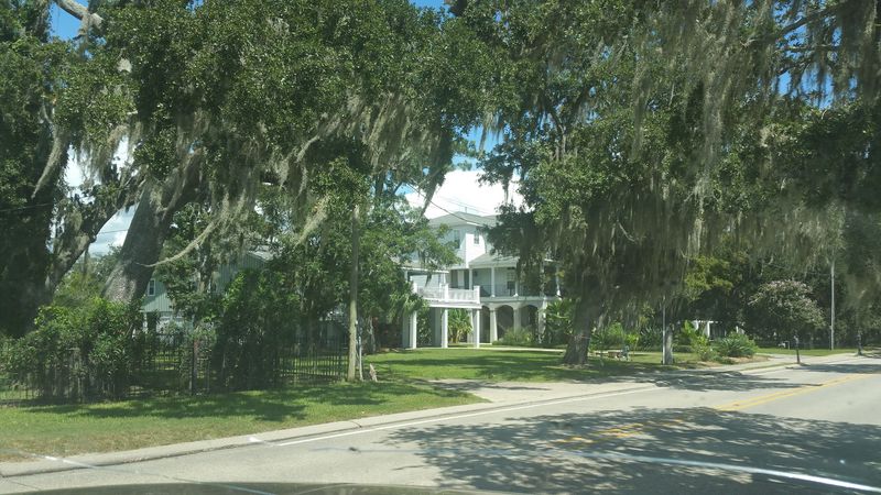 The Causeway Ends Where The Oaks Meet The Lake