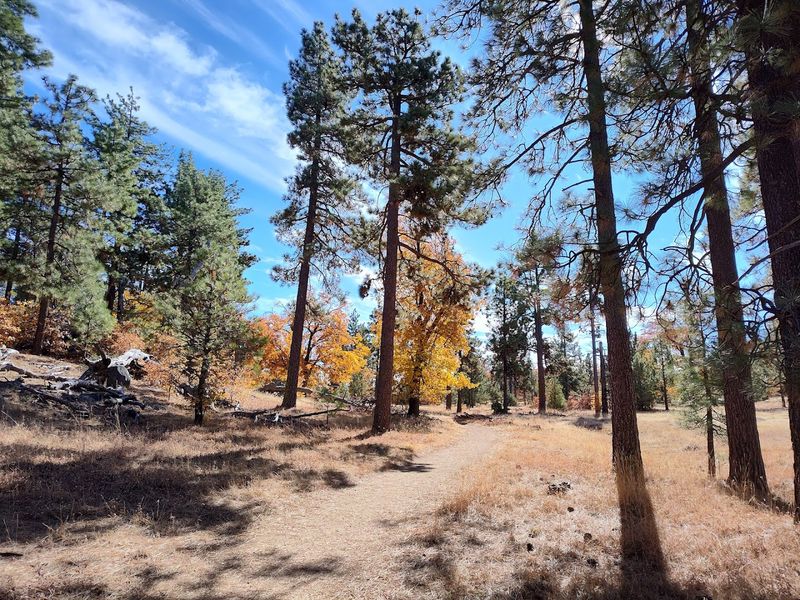 Mount Laguna Recreation Area