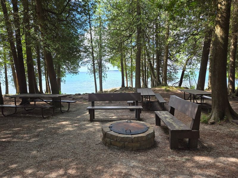 Plan A Fossil-Focused Day In Door County