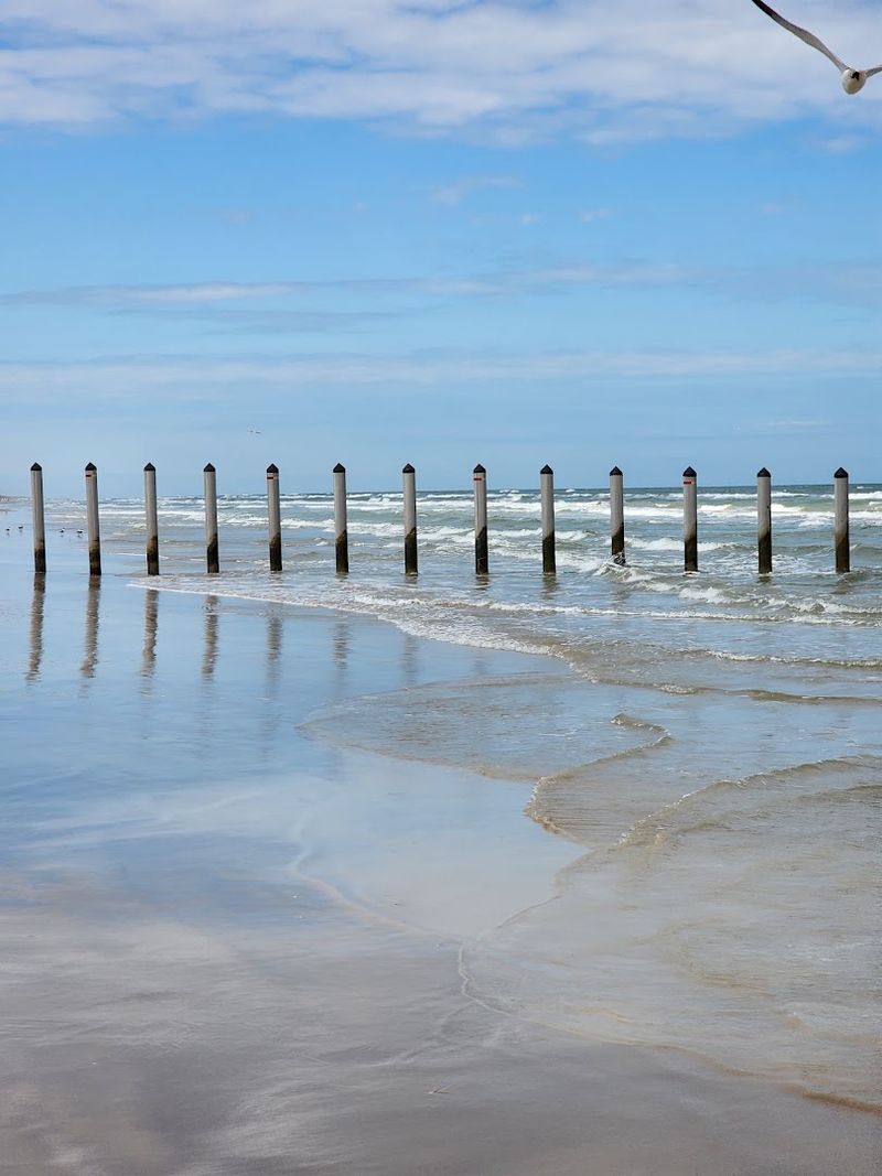Practical Tips For Making The Most Of Your Visit