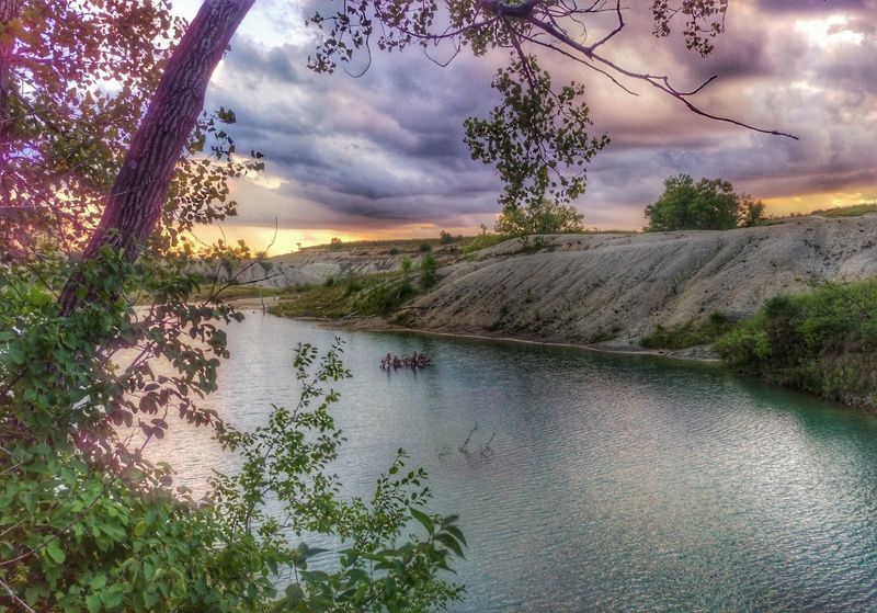 Plan A Fossil Hunting Trip To Rockford