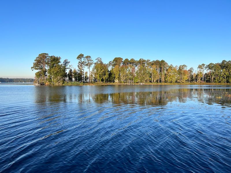 Jimmie Davis State Park