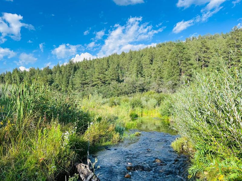 Coyote Creek State Park, Guadalupita