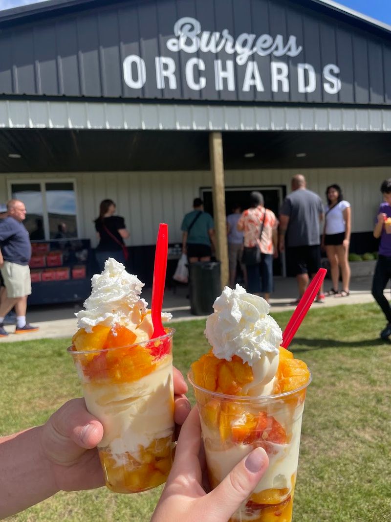 The Alpine Orchard That Earned Its Reputation One Sundae At A Time