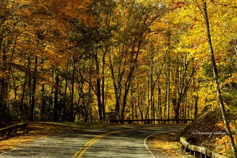Fall Foliage Turns This Place Into Something Else Entirely