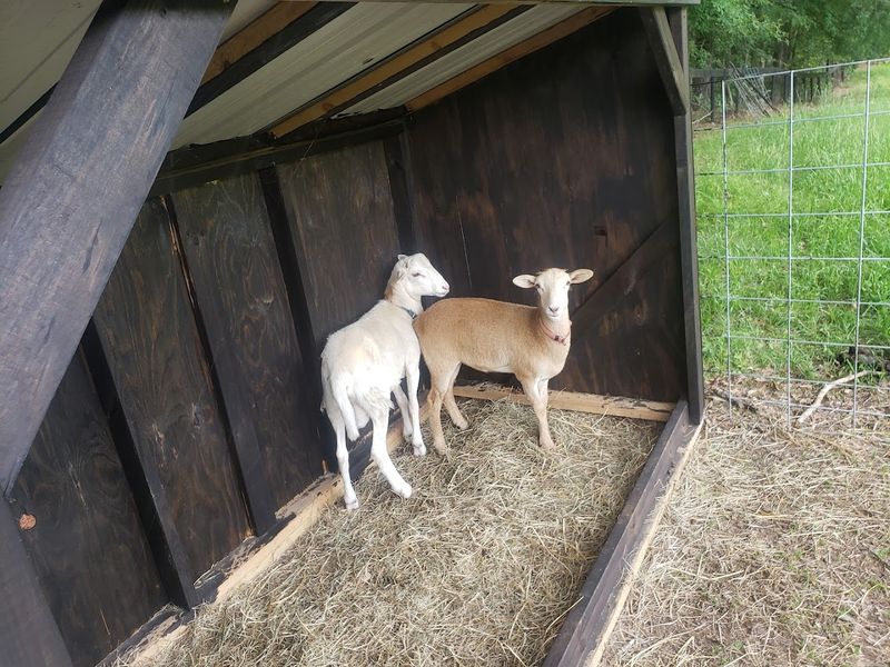 The Farm's Rustic Charm