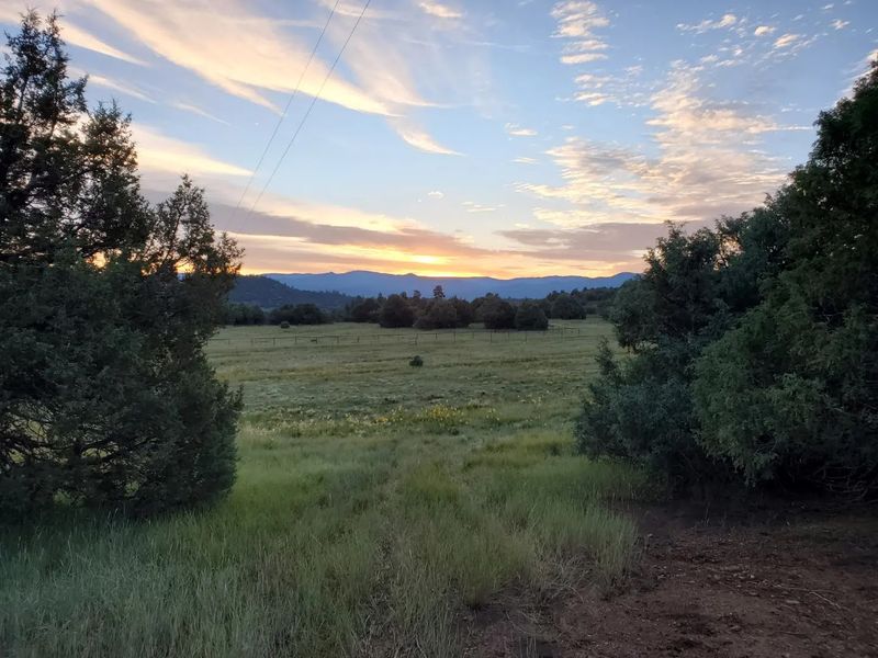 Summer Days At A Slower Elevation