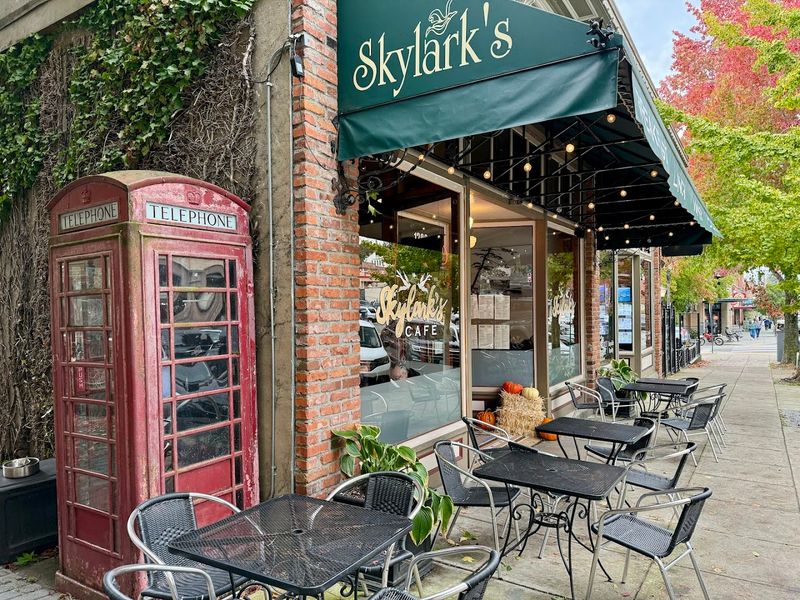 Skylark’s Hidden Cafe