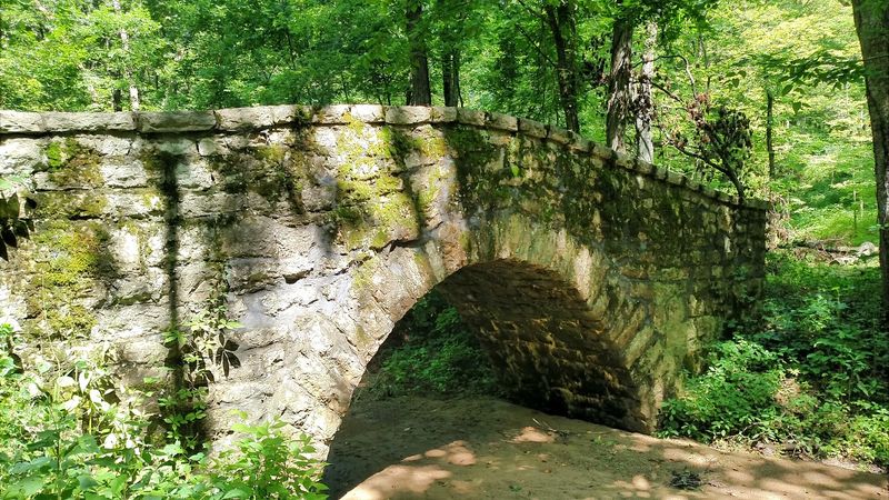 The Park That Time Built